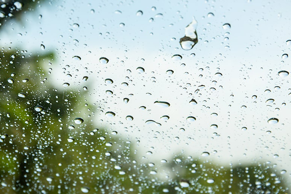 雨の夢 夢占い 意味